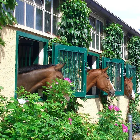 Gaestehaus Schloss Bothmer 3* שווארמשטדט