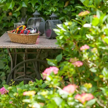 Gaestehaus Schloss Bothmer מלון 3*