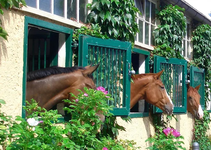 Gaestehaus Schloss Bothmer 3* Швармштедт